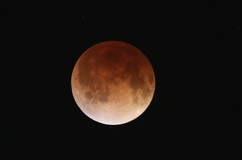 Illustration for article titled El último eclipse lunar total (la luna de sangre), en imágenes